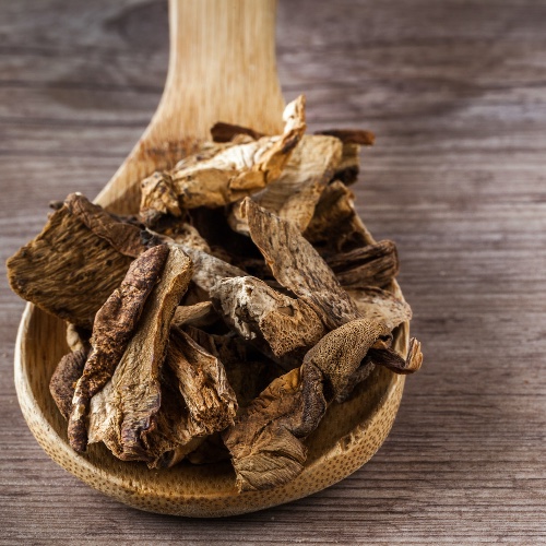 פטריות פורצ׳יני מיובשות 35 גרם - URBANI