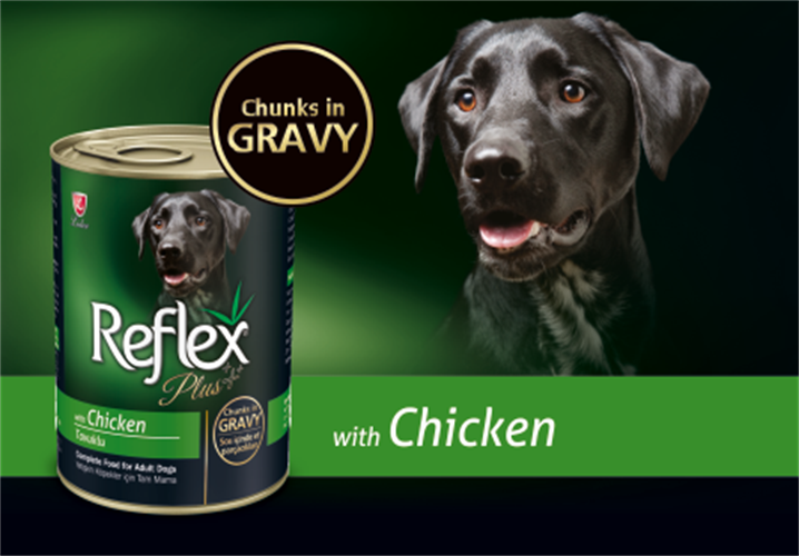 שימורים ריפלקס פלוס נתחי עוף