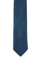 עניבה בהדפס סנאי - טורקיז