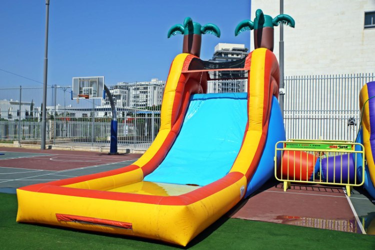 מגלשת דקלים