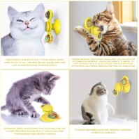 משחק התפתחות לחיות מחמד