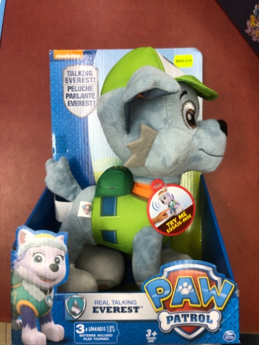 מפרץ ההרפתקאות-כלב מדבר מפרווה