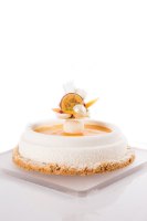 30 יח' פנינה לבנה  DOBLA