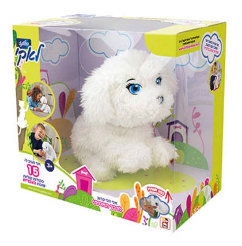 לאקי בולונז- כלב מגיב ל-15 פקודות