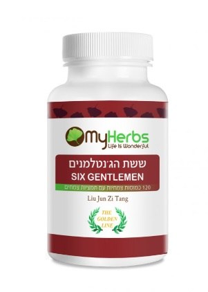 Six Gentlemen - Liu Jun Zi Tang - ששת הג'נטלמנים