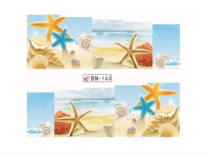 סליידר/מדבקת מים - צדפות