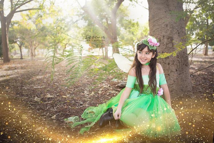 תחפושת פיית האבקנים