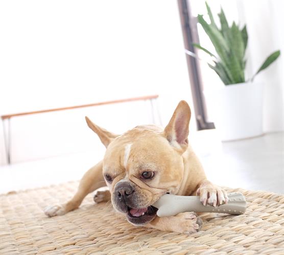 דיר הורן בינוני