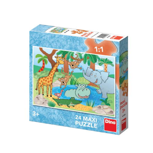 מגוון פאזלי רצפה