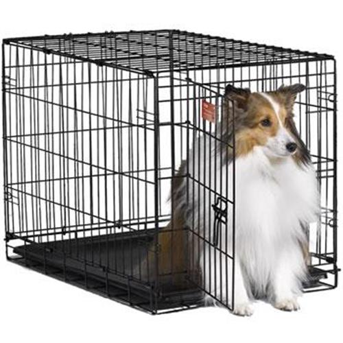 כלוב רשת לאילוף לכלב עד בינוני