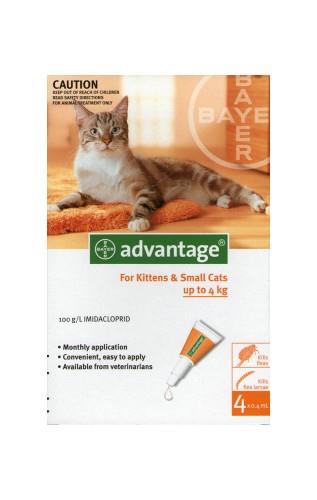 אמפולות אדונטג' לחתול עד 4 ק"ג