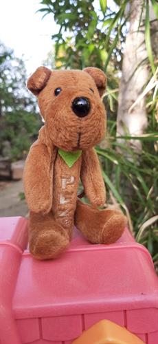 פז נדיר מקורי של דובי חום וקטיפתי, במצב מעולה