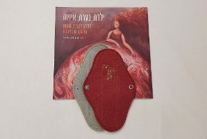 ערכת נערות הכוללת 6 תחבושות ב3 דרגות ספיגה שונות ומדריך לקבלת הווסת באהבה