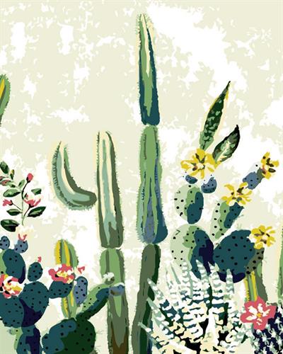 צביעה לפי מספרים - צברים 50X60