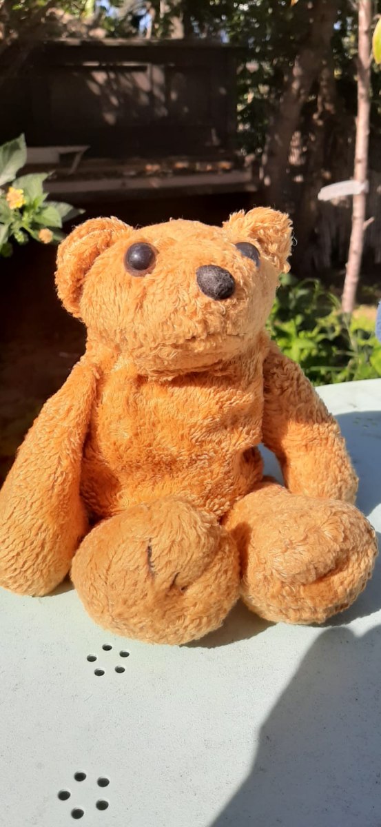 דובי סמרטוטי עם סקוץ' להפתעות בגב