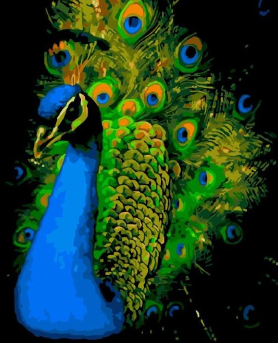 צביעה לפי מספרים - טווס