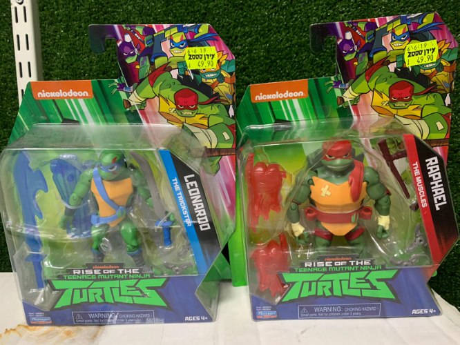 צב נינגה קטן