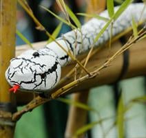 נחש על שלט רחוק