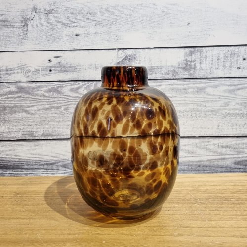 ואזה עגולה מנומרת