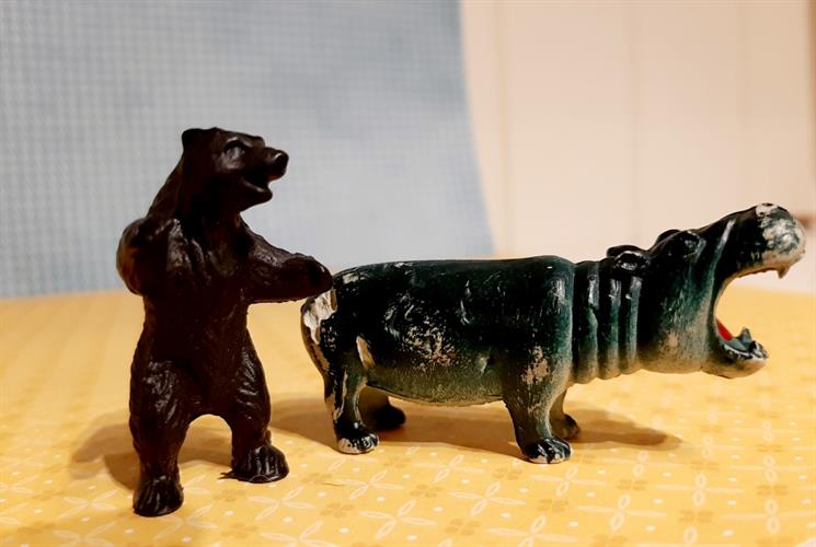 דב והיפופוטם חיות בר