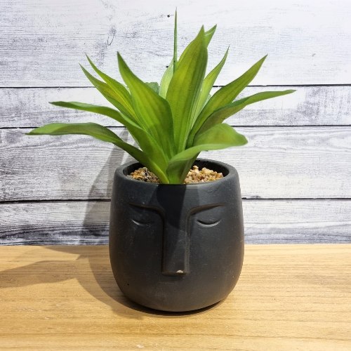 עציץ פנים שחור