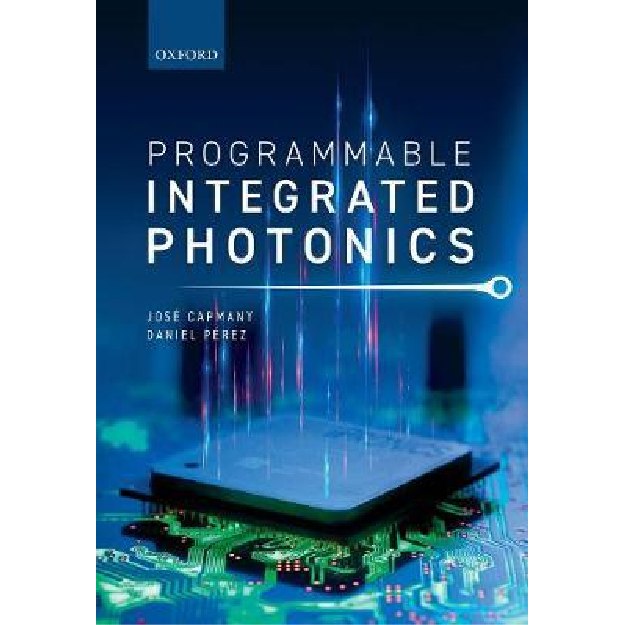 Programmable Integrated Photonics