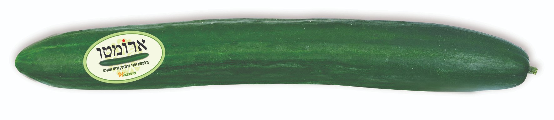 מלפפון ארומטו