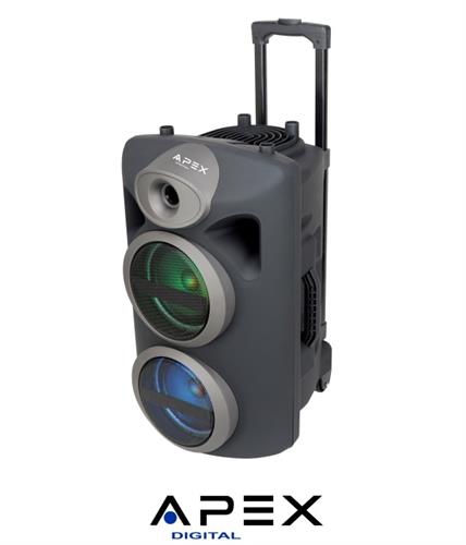 APEX רמקול קריוקי ''2X6.5 עם מיקרופון אלחוטי דגם AP1430