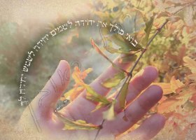 תמונה - בואי כולך