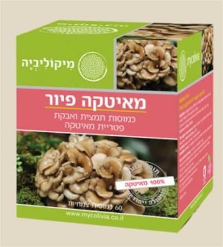 100% מאיטקה פיור - MAITAKE PURE