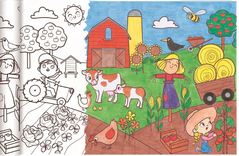 גליל נייר לצביעה - חווה