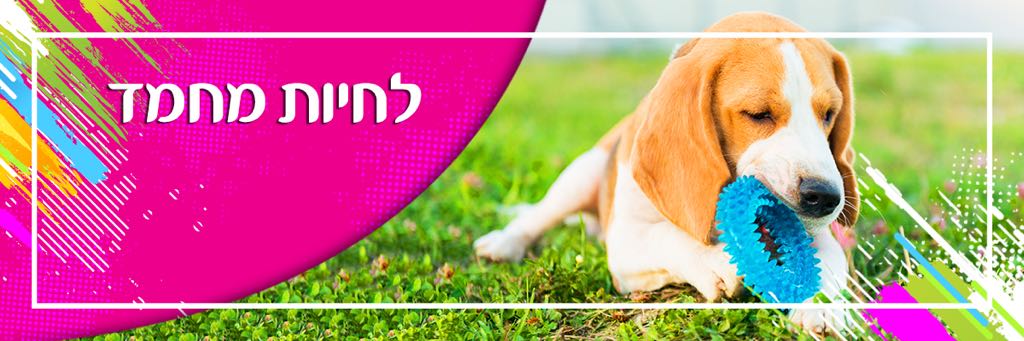 חיות מחמד - Beauty Free