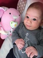 בובת התפתחות, בובת תינוקת: יפית הארנבונת היפיופית