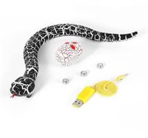 נחש על שלט רחוק