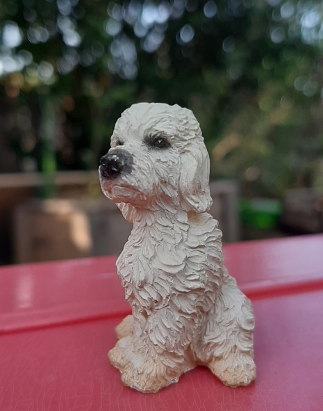 מיניאטורת פורצלן של פודל לא מרוצה, אין לי פרטים עליה אך היא מקסימה כ  ס"מ גובה