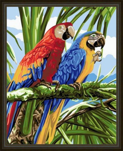 קריסטל ארט - תוכים 40X50