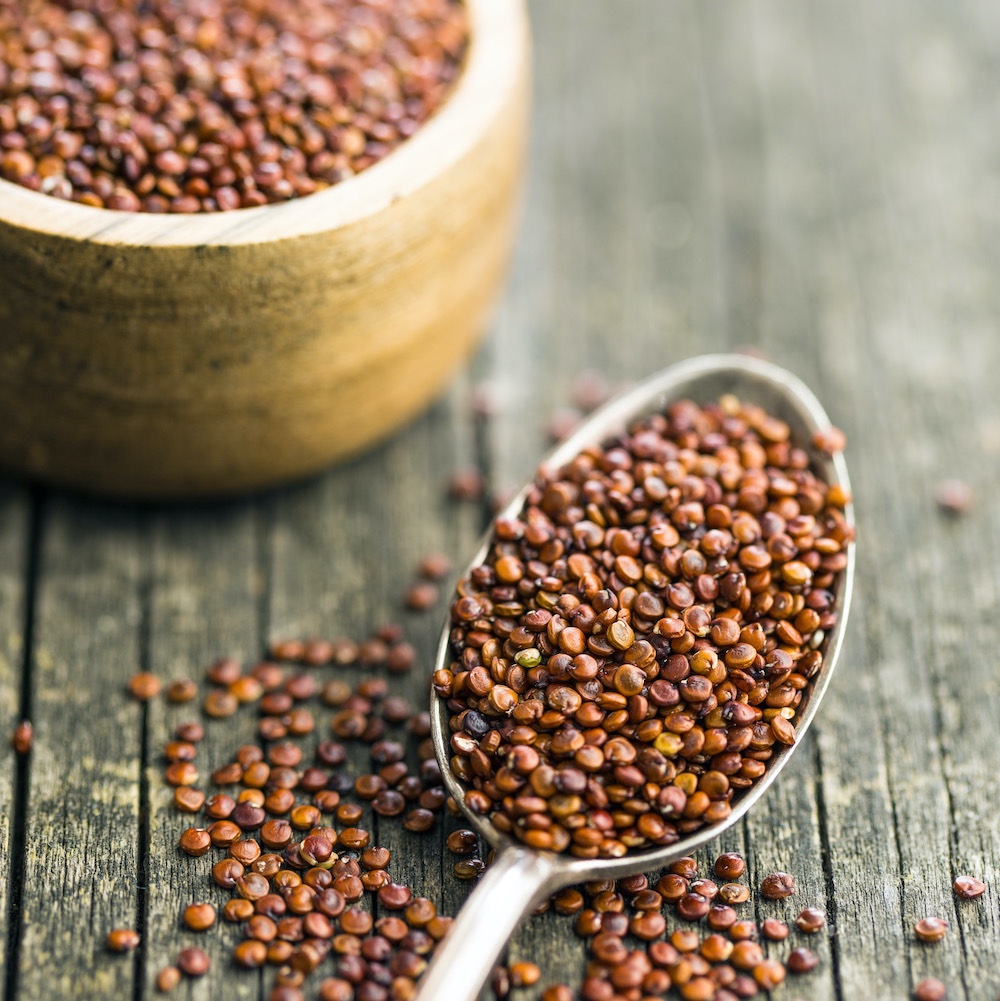 קינואה אדומה – 800 גרם