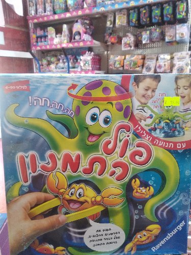 פול התמנון