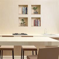 עציצי בונסאי וספרים דגם 405