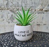 עציץ שמנת דמוי סוקולנט "Love is what we need"