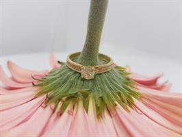 טבעת אירוסין זהב לבן 0.50 קראט | טבעת אירוסין זהב צהוב 0.50 קראט