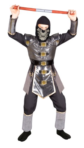 נינג'ה מפוארת האביר הכסוף