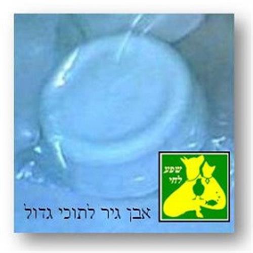 אבן גיר סידן עגולה גדולה