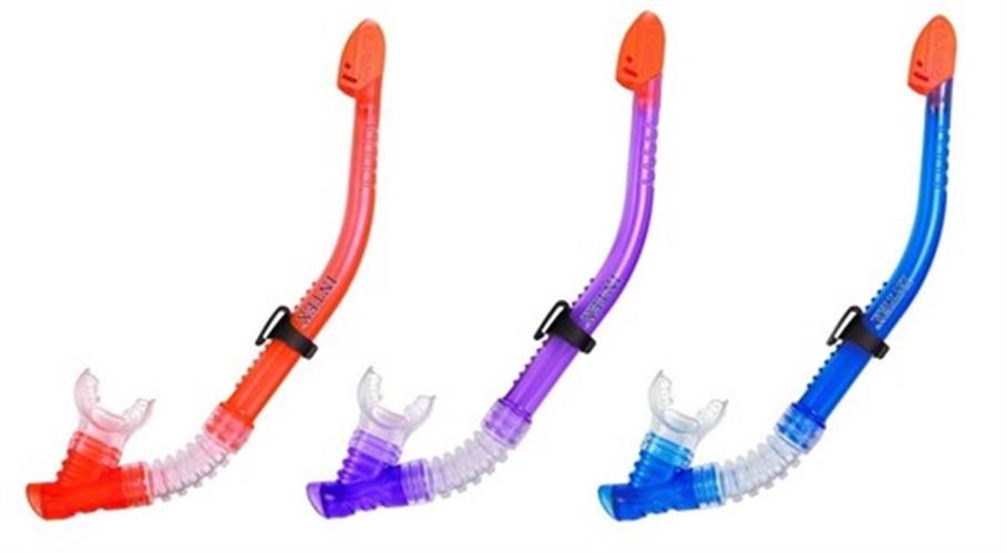 שנורקלים אינטקס