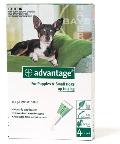 אמפולות אדונטג' לכלב למניעת פרעושים עד 4 ק"ג