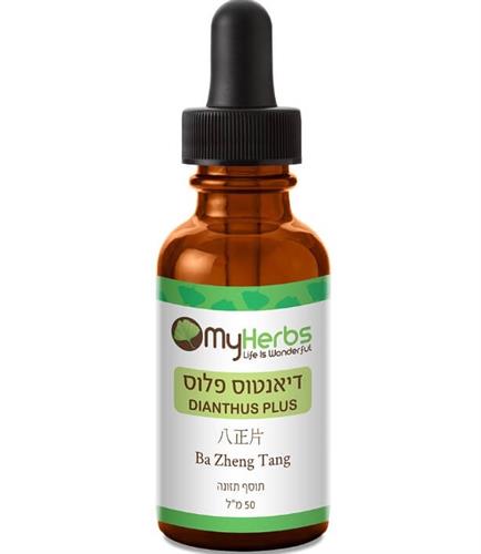 דיאנטוס פלוס - Dianthus Plus