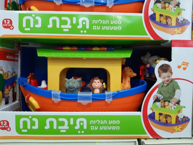 תיבת נח