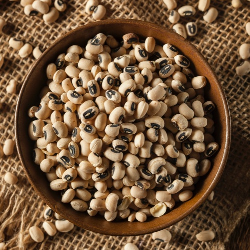 שעועית לוביה