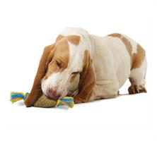 דוג ווד אצטרובל בינוני