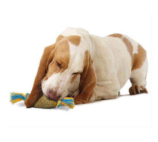 דוג ווד אצטרובל בינוני